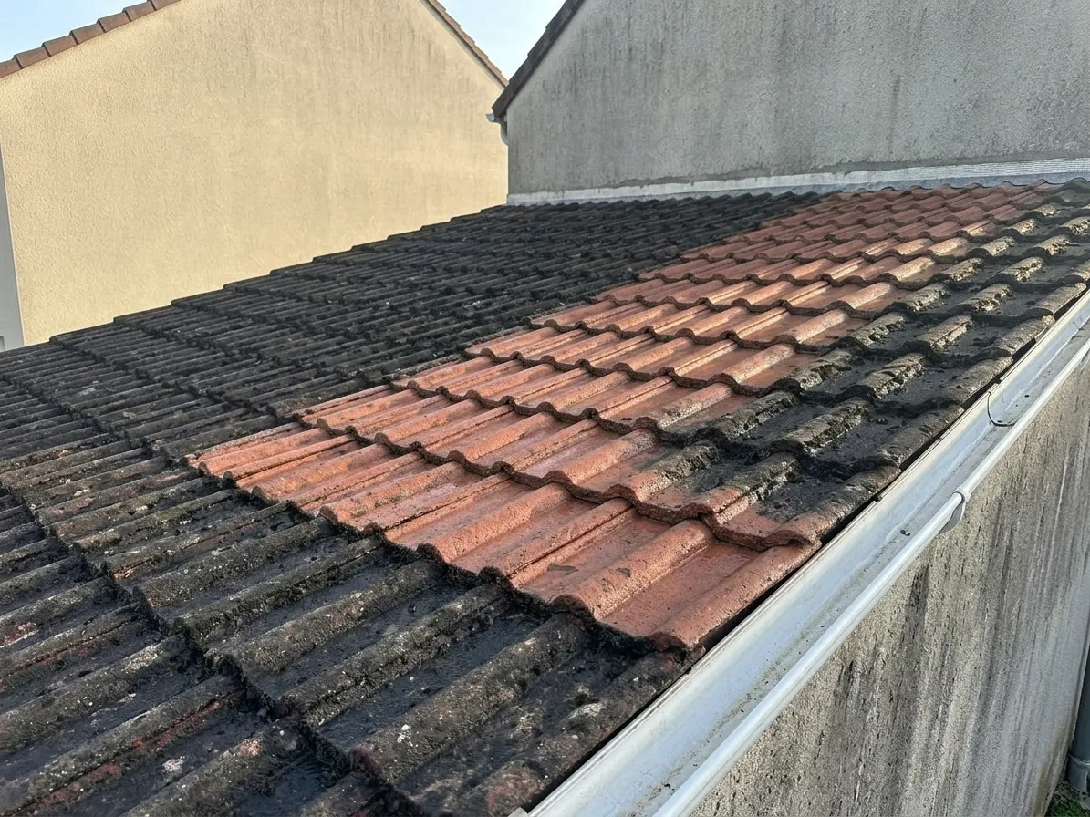 Démoussage de toiture à Meaux Démoussage de toiture à Meaux